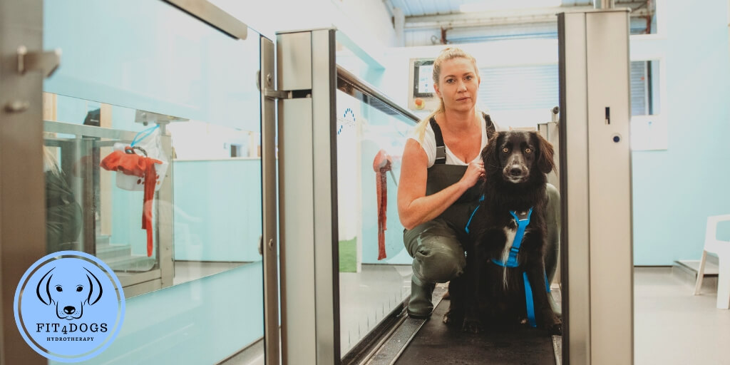 Winner small image - Fit4DogsUK